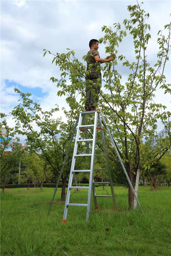 家用香蕉成人APP廠家.jpg